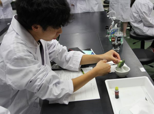 070610 2Ｃ生物ＤＮＡ実験 (1).JPG